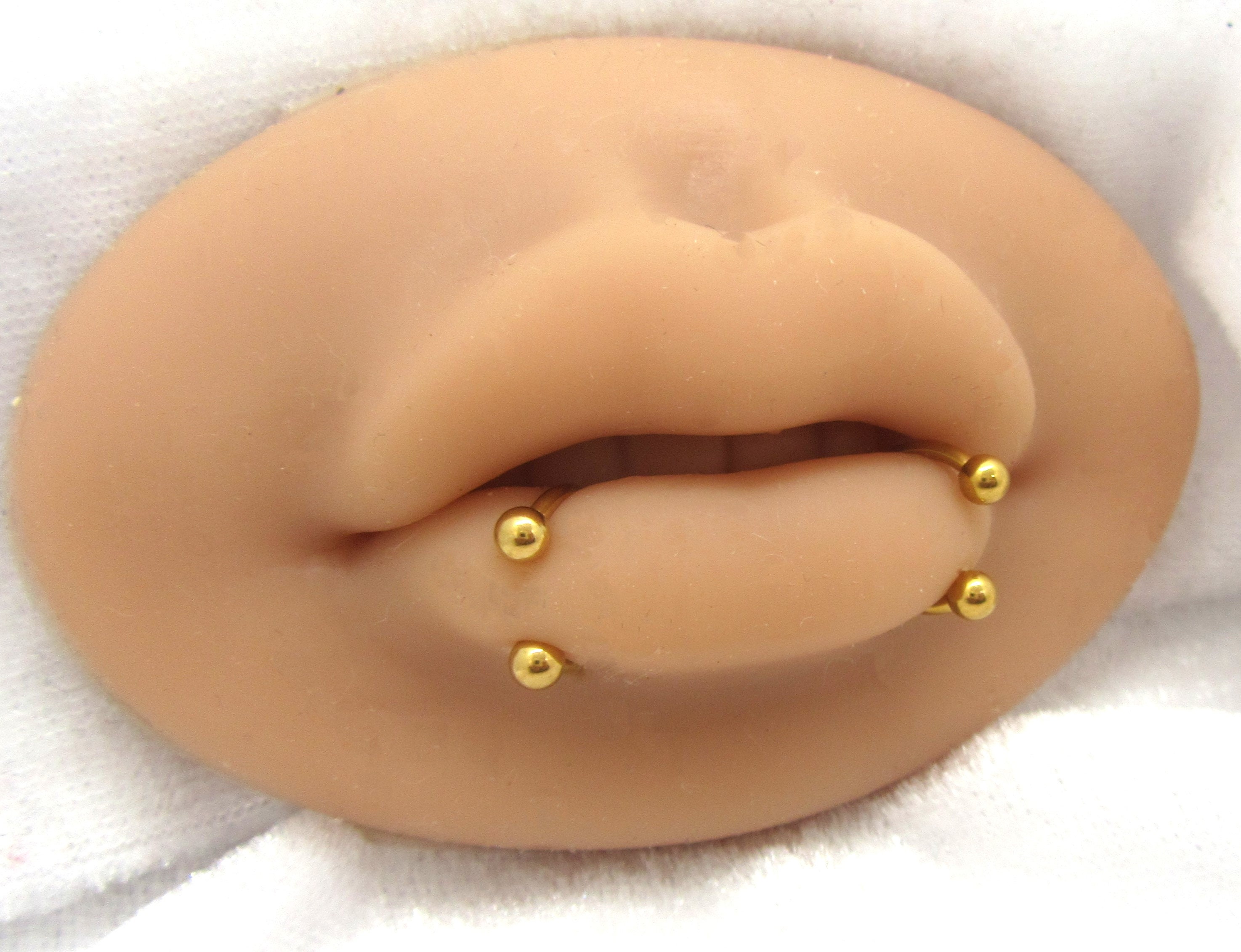 Lp Rng Percng Snake Bte Jewelry Septum Rng Cone Lp Rng Percng