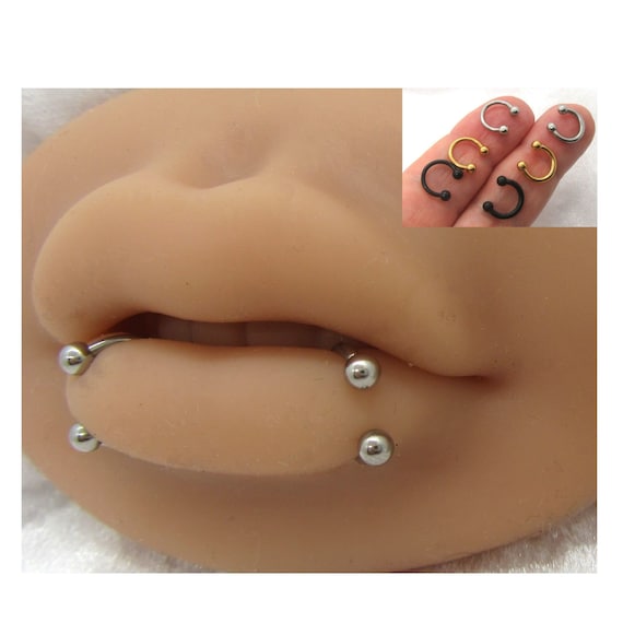 Pair 14G 16G Lip Rings Hoops Snake Bites Labret Rings Body Jewelry Lip Ring Surgical Steel 8mm 10mm Lip Ring Silver Gold Black Lip Rings Etsy