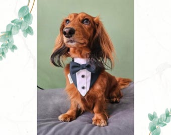 Pañuelo esmoquin verde oscuro para mascotas, ideal para bodas, con broches para perros y gatos.