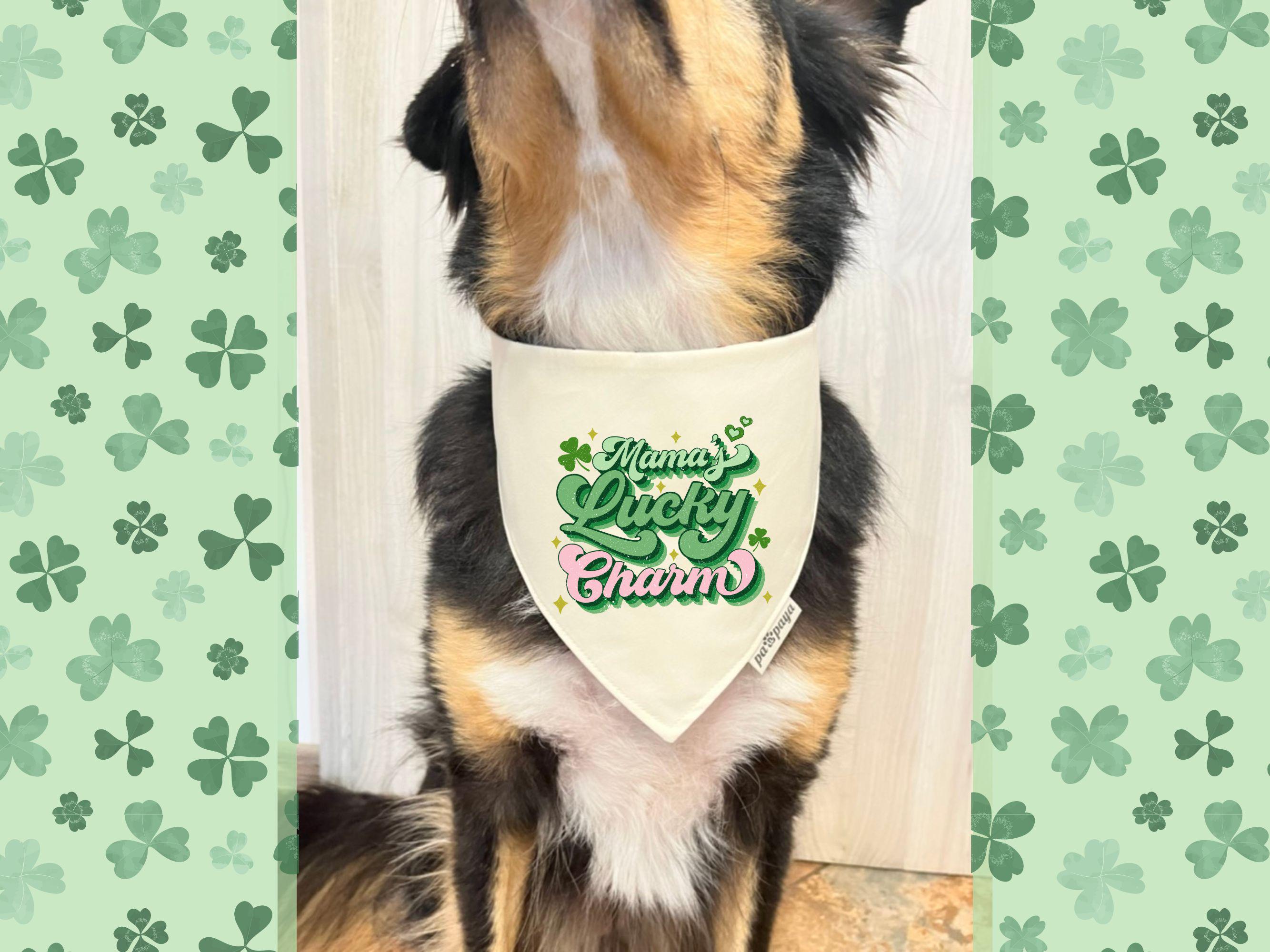 Mom's Lucky Charm Kleeblatt Hunde-Bandana – Verstellbar, St. Patrick's Day, Verschiedene Farben