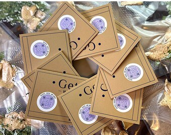 9-Count for Small Gifts | Individually Packaged | Get Noodles Miso Broth Packs | Gifts for Outdoorsy, Vegan, Campers with Included Recipes