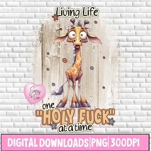 May include: A cartoon giraffe with a surprised expression, set against a wooden background. The text "Living Life" is at the top, with "one 'HOLY FUCK' at a time" below the giraffe. A pink heart with "Sassy By Sue" is also present.