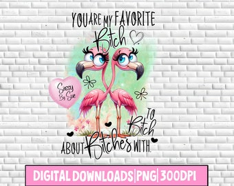 You Are My Favorite B*tch To B*tch about B*tches With PNG, Sublimation Design, Cute Flamingo PNG, BFF, Best Friends, Adult Humor, Girlfriend