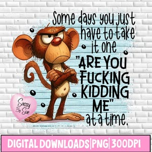 Może przedstawiać: Kreskówkowa ilustracja brązowej małpy ze złą miną, skrzyżowanymi ramionami. Tekst: "Some days you just have to take it one 'ARE YOU FUCKING KIDDING ME' at a time." Różowe serce z napisem "Sassy By Sue" po lewej stronie. Poniżej: "DIGITAL DOWNLOADS PNG 300DPI".