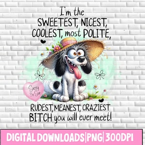 I'm The Sweetest Nicest Coolest PNG, Sublimation Design, Funny Sarcastic Quote, Crazy B*tch PNG, Sweary, Adult Humor, Silly Dog Art, Tumbler