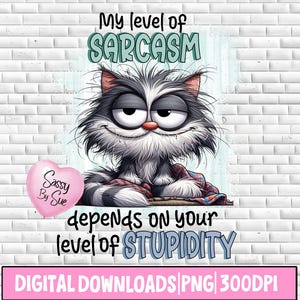 Pode incluir: Download digital com um gato de desenho animado com expressão sarcástica. A imagem inclui o texto "My level of Sarcasm depends on your level of Stupidity". Um gráfico em forma de coração rosa diz "Sassy By Sue."