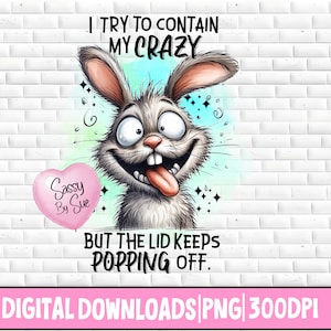 May include: A digital download of a cartoon bunny with a pink heart that says "Sassy By Sue". The bunny has a wide, toothy grin and its tongue is sticking out. The text says "I try to contain my crazy but the lid keeps popping off."