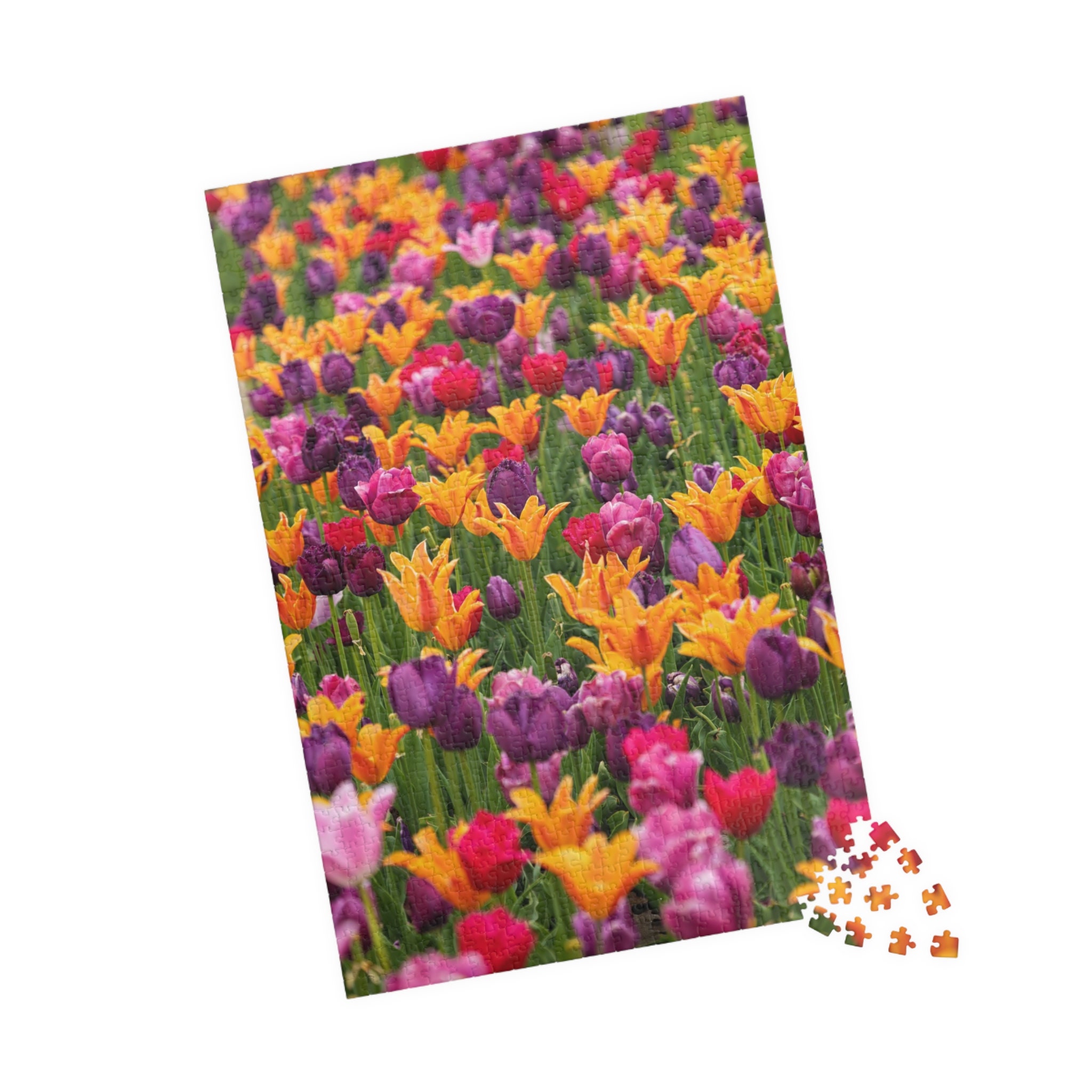 Ravensburger