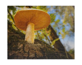 Mushroom in Forest Jigsaw Puzzle: Nature Photography Puzzle for Adults