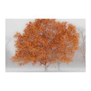 Winter jigsaw puzzles | puzzle for adults | nature jigsaw puzzle