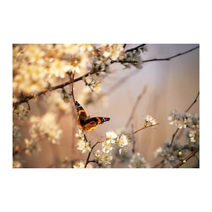 Spring Jigsaw Puzzle | Butterfly Puzzle | Puzzle for Adults | Butterfly in Spring