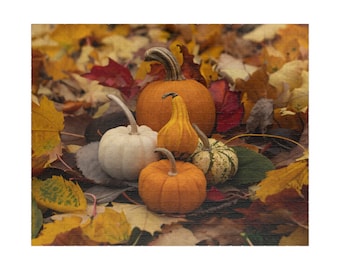 Autumn Pumpkins Jigsaw Puzzle: Fall Nature Photo, Adult Puzzle
