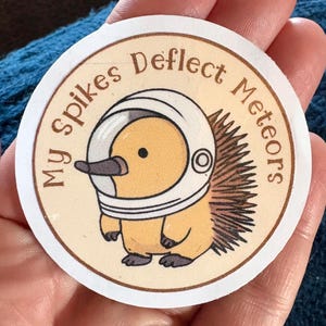 juegos de palabras divertidos, erizo, espacio, pegatina