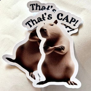 Capybara, das ist Mütze, Tier sass