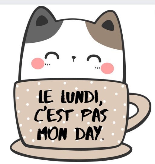 2 collants, cute animal sticker, French sayings, funny decals, collants drôles