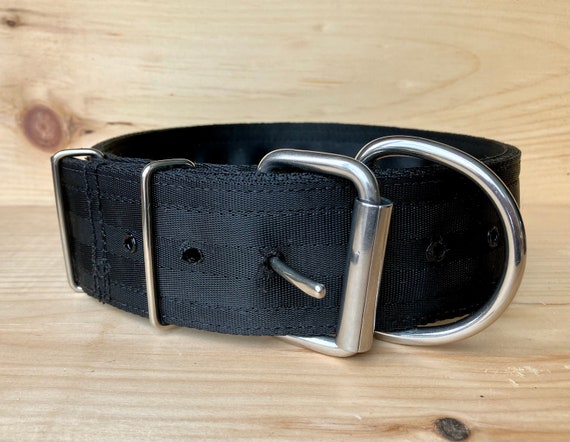 5 ply dog best sale collars