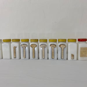 Tarros de especias de vidrio de leche vintage