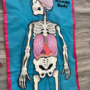 The Human Body Felt Bones Organs Anatomy Set