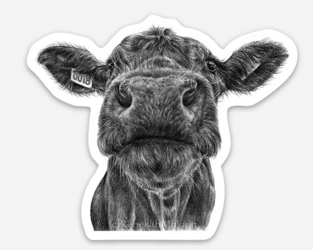 Angus Cow Sticker | Matte Farm Animal Decal, Country Ranch Decor ...