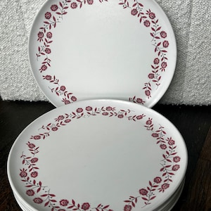 Set of 6 Vintage Melmac Dinnerware 10” Plate Pink Floral Leaves by Debonaire
