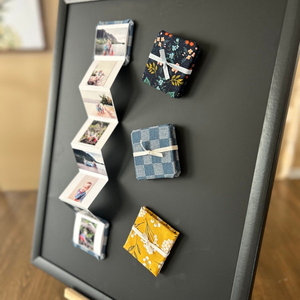 Magnetic Little Snaps (Tiny Magnetic Albums)