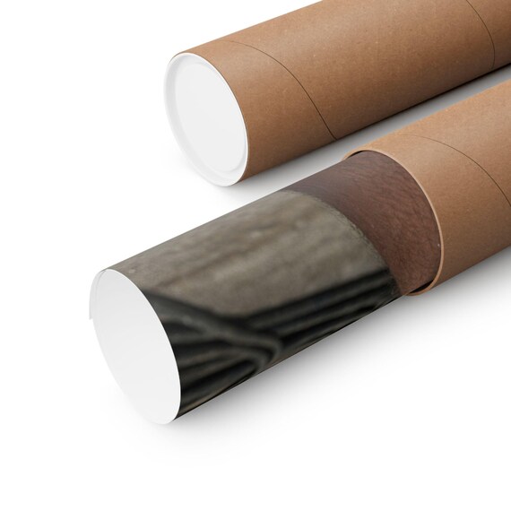 Bolt Fastened Muscle Duo Print — 3