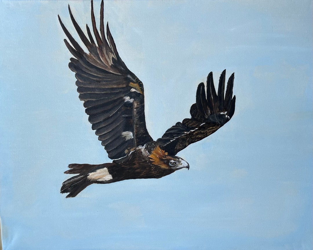 Oil Painting of a Wedge Tailed Eagle - Etsy
