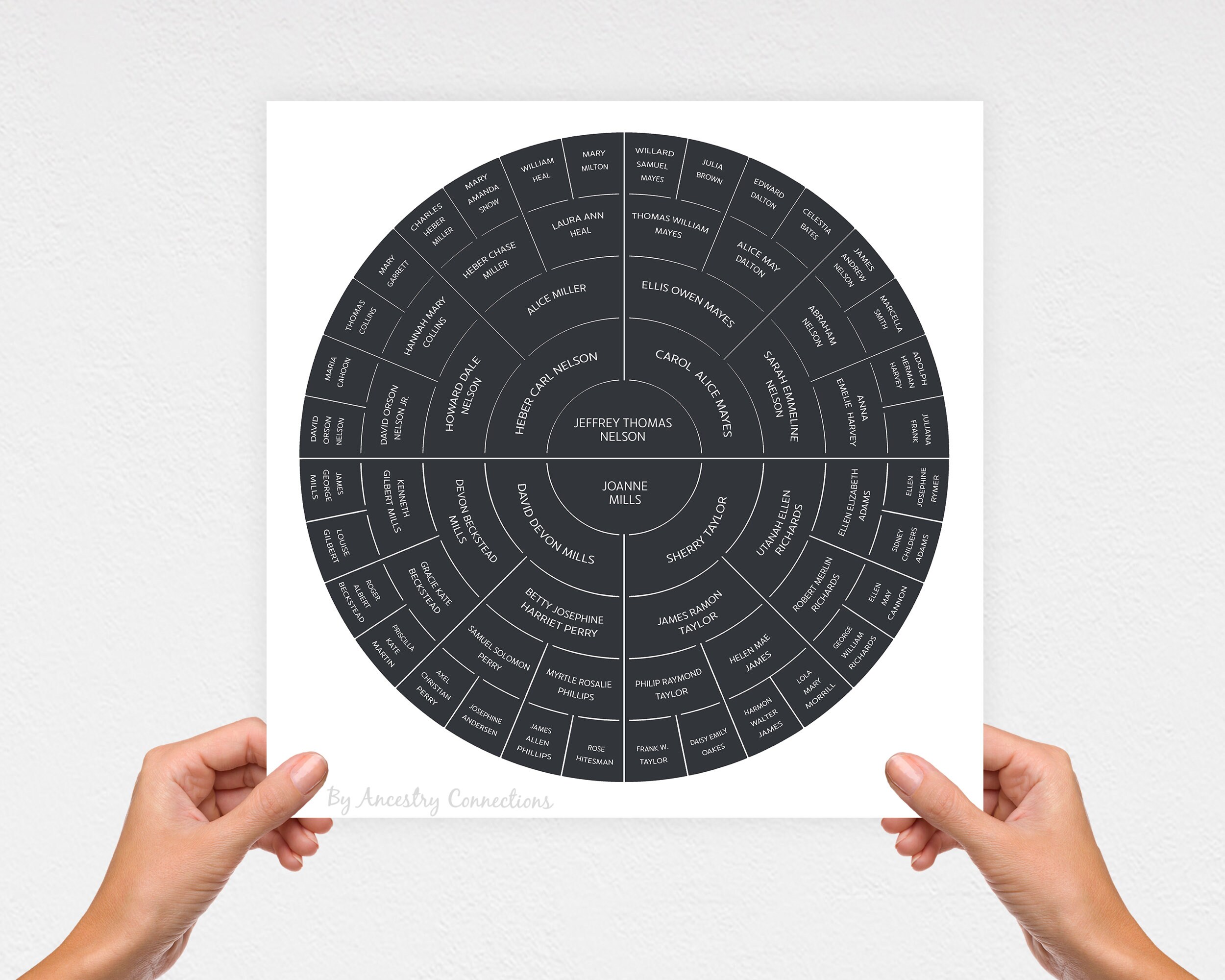 Family Tree Ancestry Chart Template: Color Satin | Ancestry Connections ...