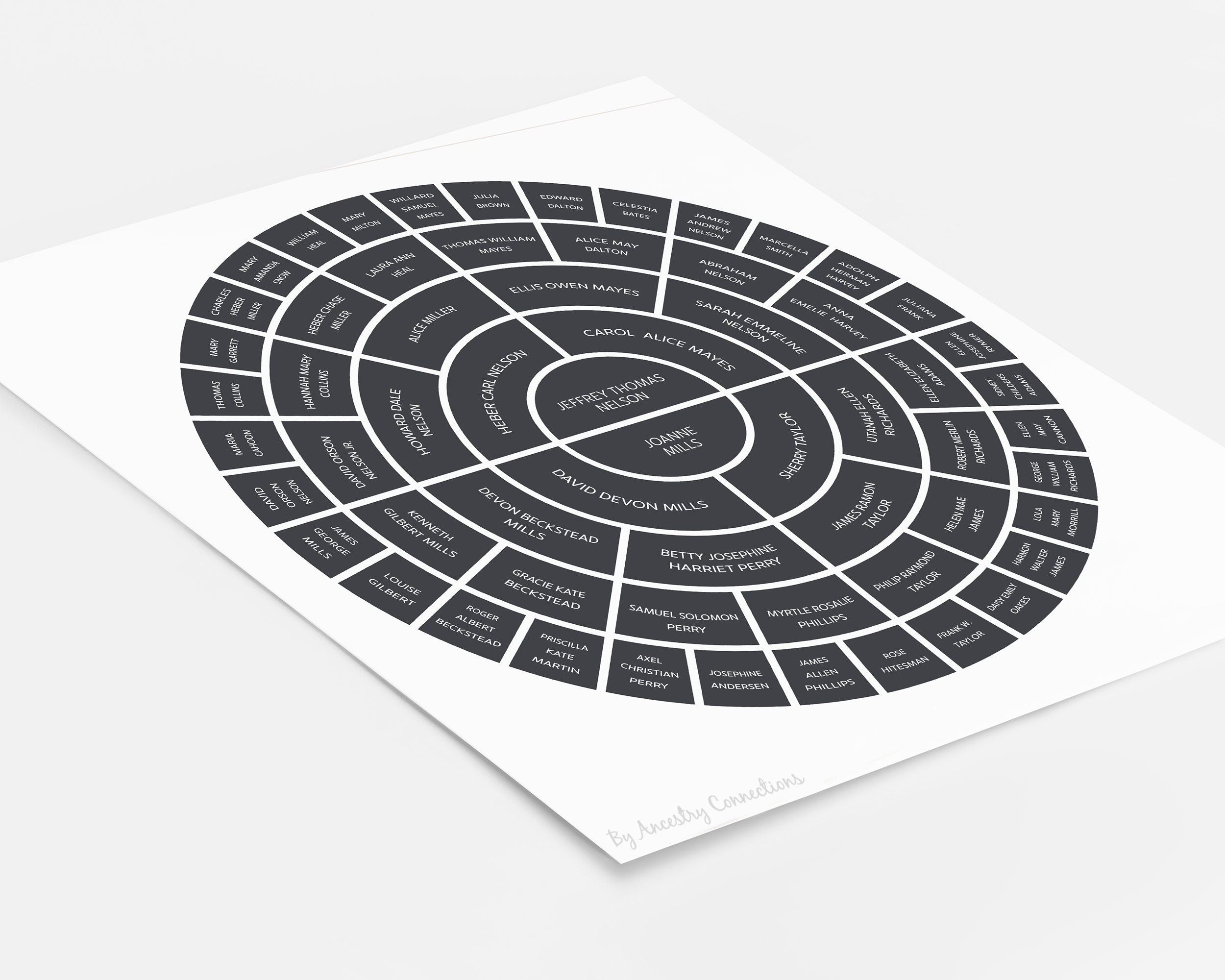 Family Generation Chart Template: Color Satin Ancestry Connections - Etsy