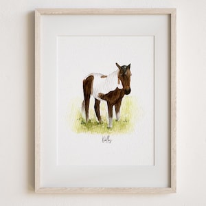 Pu&ograve; includere: Dipinto ad acquerello di un cavallo marrone e bianco con criniera e coda nere. Il cavallo &egrave; in piedi in un campo di erba verde. Il dipinto &egrave; firmato "Dolly".
