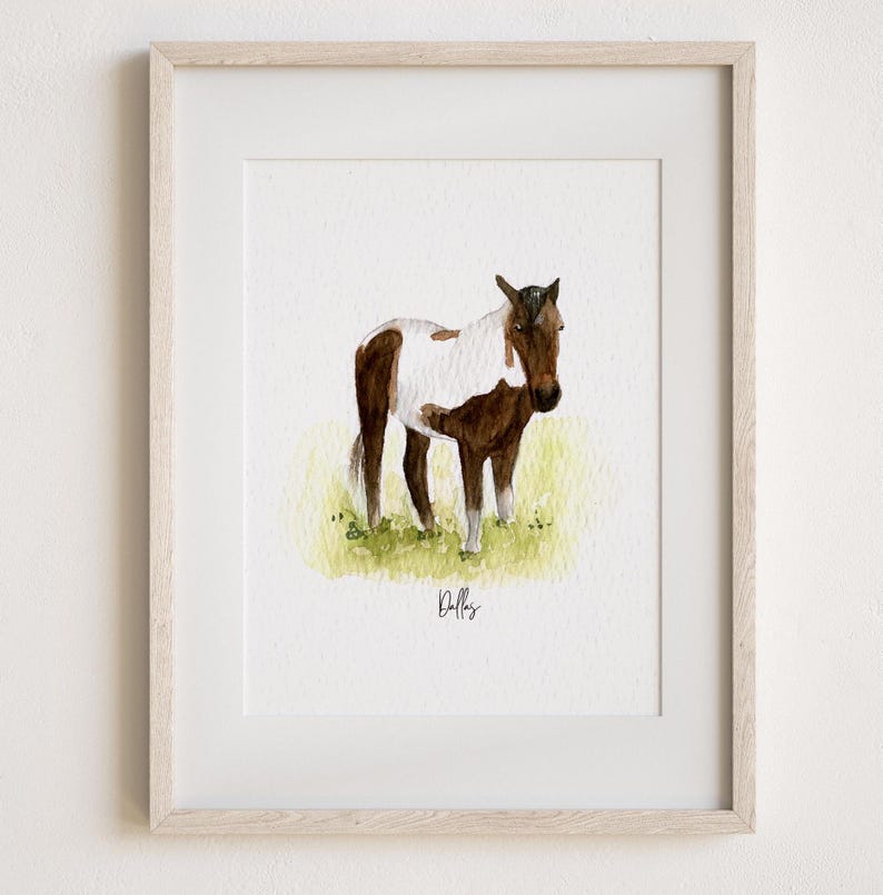 Pu&ograve; includere: Dipinto ad acquerello di un cavallo marrone e bianco con criniera e coda nere. Il cavallo &egrave; in piedi in un campo di erba verde. Il dipinto &egrave; firmato "Dolly".