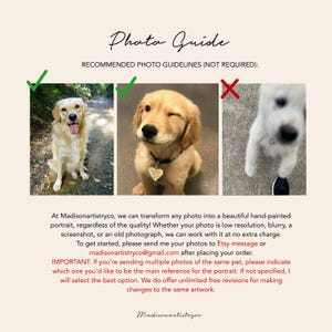 May include: A graphic titled "Photo Guide" with dog images and text. It shows examples of acceptable and unacceptable photos for pet portraits. Text below describes hand-painted pet portraits.