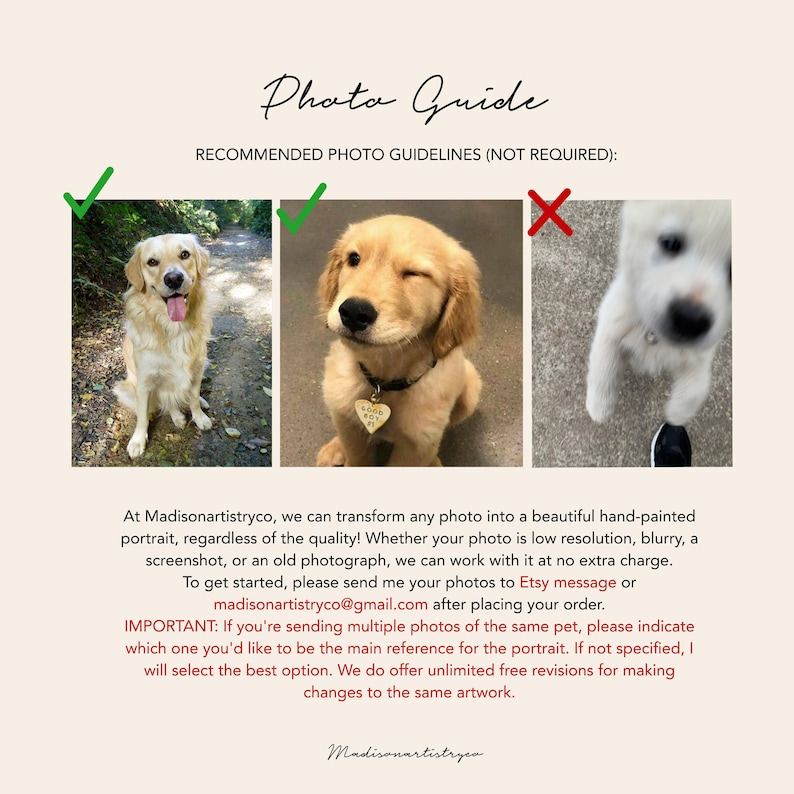 May include: A graphic titled "Photo Guide" with dog images and text. It shows examples of acceptable and unacceptable photos for pet portraits. Text below describes hand-painted pet portraits.