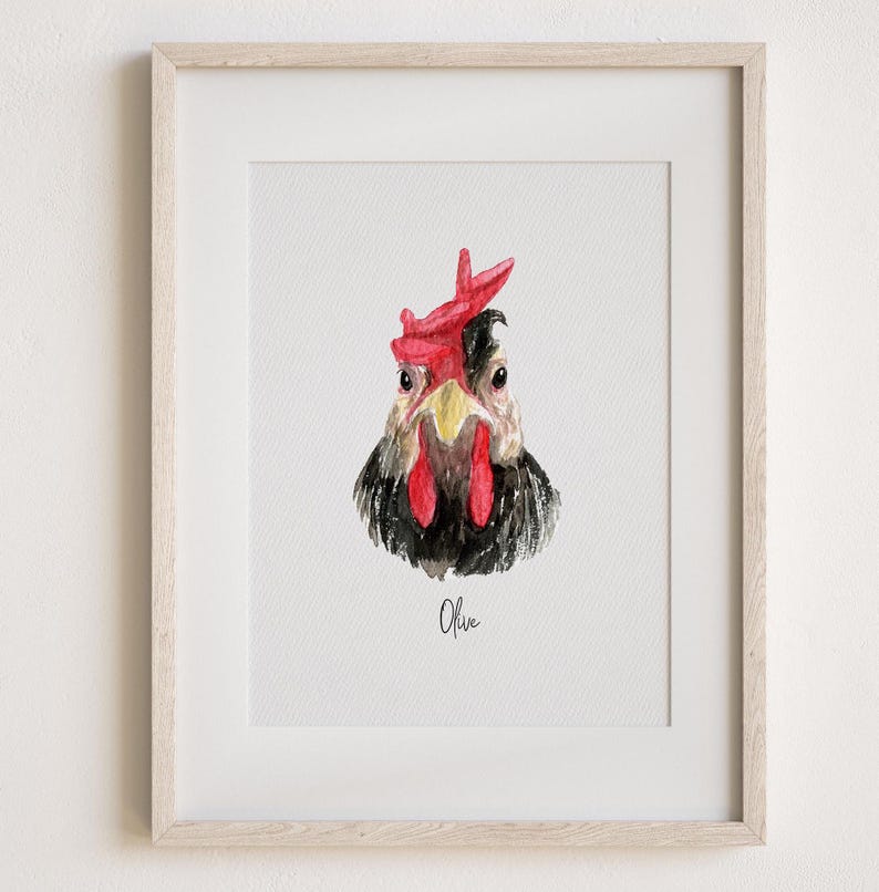 Pu&ograve; includere: Dipinto ad acquerello di un pollo bianco e nero con cresta e bargigli rossi. Il pollo guarda direttamente lo spettatore. Il dipinto &egrave; incorniciato in una cornice di legno chiaro e ha il nome "Olive" scritto sotto l'immagine.