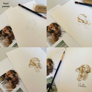 May include: A step-by-step depiction of a dachshund watercolour portrait being hand-painted. The images show the process from initial pencil sketch to the finished artwork. The final image features a brown and tan dachshund with the name "Cheddar".
