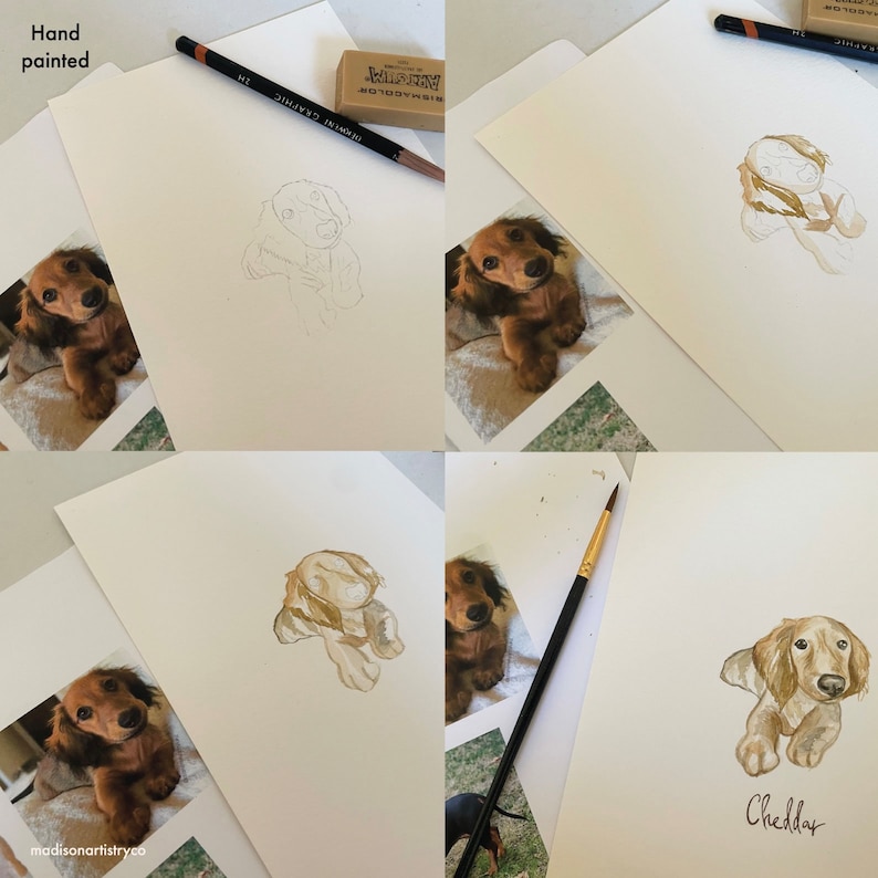 May include: A step-by-step depiction of a dachshund watercolour portrait being hand-painted. The images show the process from initial pencil sketch to the finished artwork. The final image features a brown and tan dachshund with the name "Cheddar".