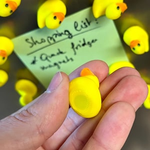 Imanes de pato para nevera | De 5 a 25 mini imanes de animales | Idea de regalo imagen 5