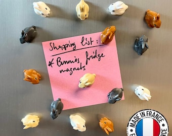 Bunny fridge magnets | 5 to 25 mini animal magnets | Gift idea