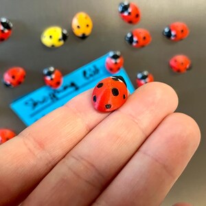 Ladybug fridge magnets | 5 to 25 mini insect magnets | Gift idea image 3