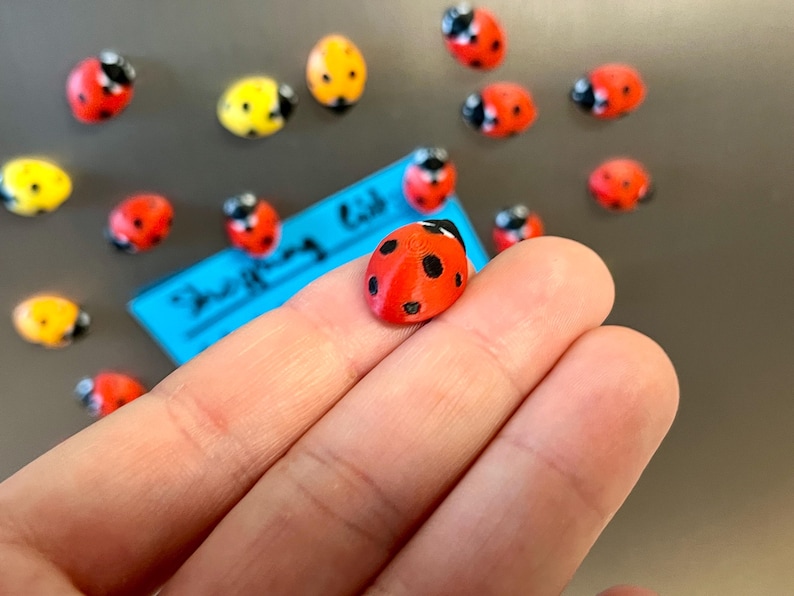 Ladybug fridge magnets | 5 to 25 mini insect magnets | Gift idea image 3