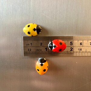 Ladybug fridge magnets | 5 to 25 mini insect magnets | Gift idea image 9