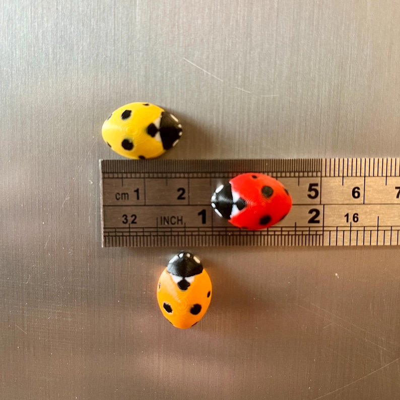 Ladybug fridge magnets | 5 to 25 mini insect magnets | Gift idea image 9