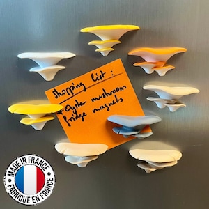 Oyster Mushroom Fridge Magnets | 4 Mushroom Magnets | Various Designs | Gift Idea