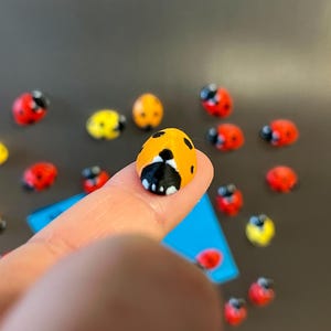 Ladybug fridge magnets | 5 to 25 mini insect magnets | Gift idea image 6