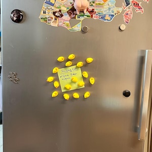 Puede incluir: Una puerta de refrigerador de acero inoxidable decorada con varios imanes, incluyendo un mapa de Francia, un personaje de dibujos animados y un grupo de peque&ntilde;os imanes amarillos con forma de pato que sostienen una nota verde claro que dice Shopping list: Quack fridge magnets.
