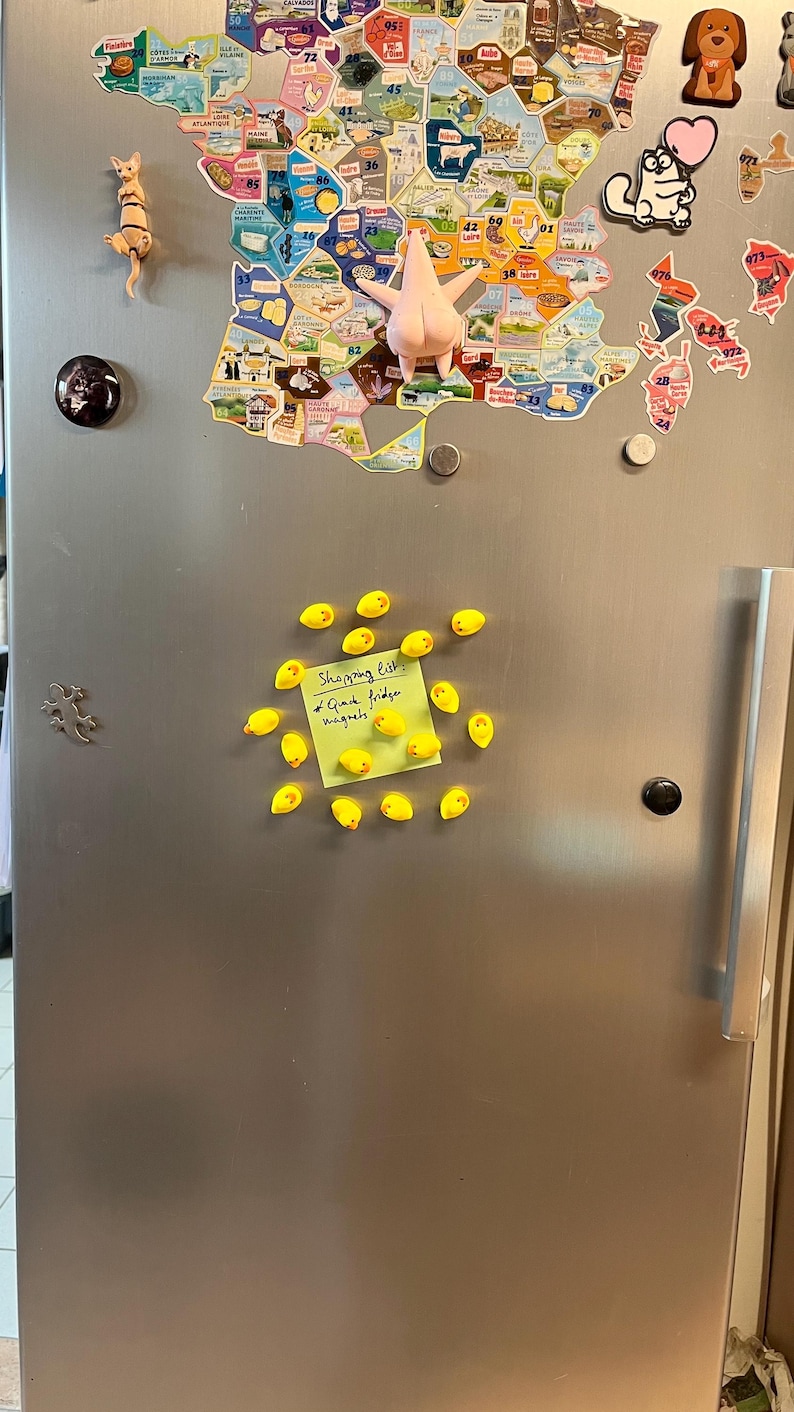 Puede incluir: Una puerta de refrigerador de acero inoxidable decorada con varios imanes, incluyendo un mapa de Francia, un personaje de dibujos animados y un grupo de peque&ntilde;os imanes amarillos con forma de pato que sostienen una nota verde claro que dice Shopping list: Quack fridge magnets.