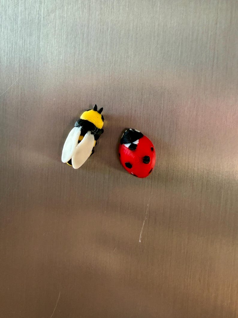 Ladybug fridge magnets | 5 to 25 mini insect magnets | Gift idea image 11