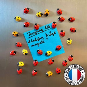 Aimants de réfrigérateur Coccinelles | 5 à 25 minis aimants insectes | Idée cadeau