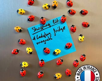 Ladybug fridge magnets | 5 to 25 mini insect magnets | Gift idea