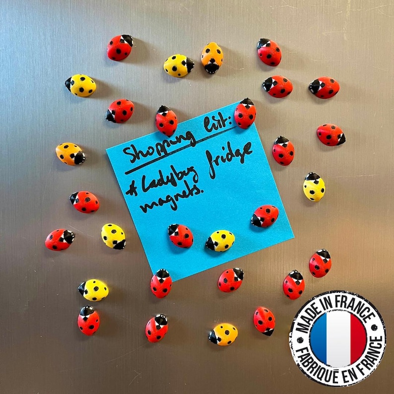 Ladybug fridge magnets | 5 to 25 mini insect magnets | Gift idea image 1